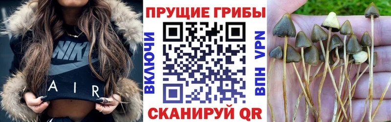 Псилоцибиновые грибы мицелий  Купить закладки  Гуково 